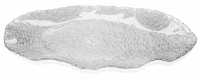 Podnos FOL číra 52 x 22,5 cm